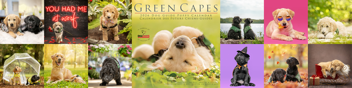 2026 Calendar Collage showing cover and 12 monthly images of cute puppies