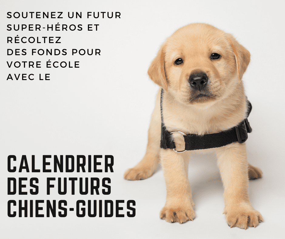 Soutenez un futur super-héros et écoltez des fonds pour votre école avec le Calendrier des Futurs Chiens-Guides