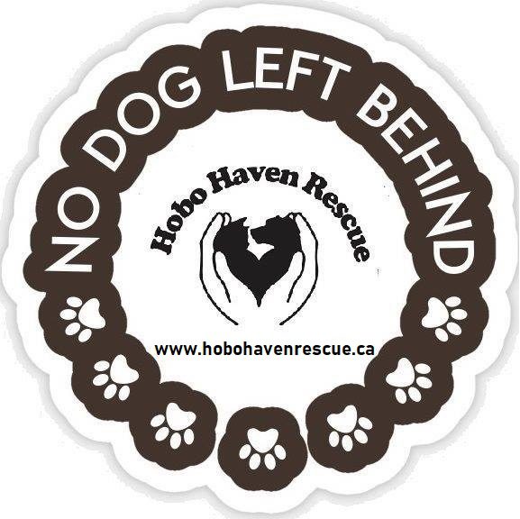 Hobo Haven Dog Rescue