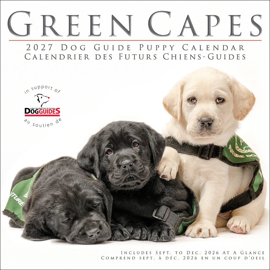 2026 Dog Guide Puppy Calendar cover for the that shows a very cute and fluffy golden retriever puppy sleeping on its back in the grass, with its paws in the air. The puppy is wearing a green service dog vest. Calendar cover for the 2026 Dog Guide Puppy Calendar that shows a very cute and fluffy golden retriever puppy sleeping on its back in the grass, with its paws in the air. The puppy is wearing a green service dog vest. Calendar cover for the 2026 Dog Guide Puppy Calendar that shows a very cute and fluffy golden retriever puppy sleeping on its back in the grass, with its paws in the air. The puppy is wearing a green service dog vest.