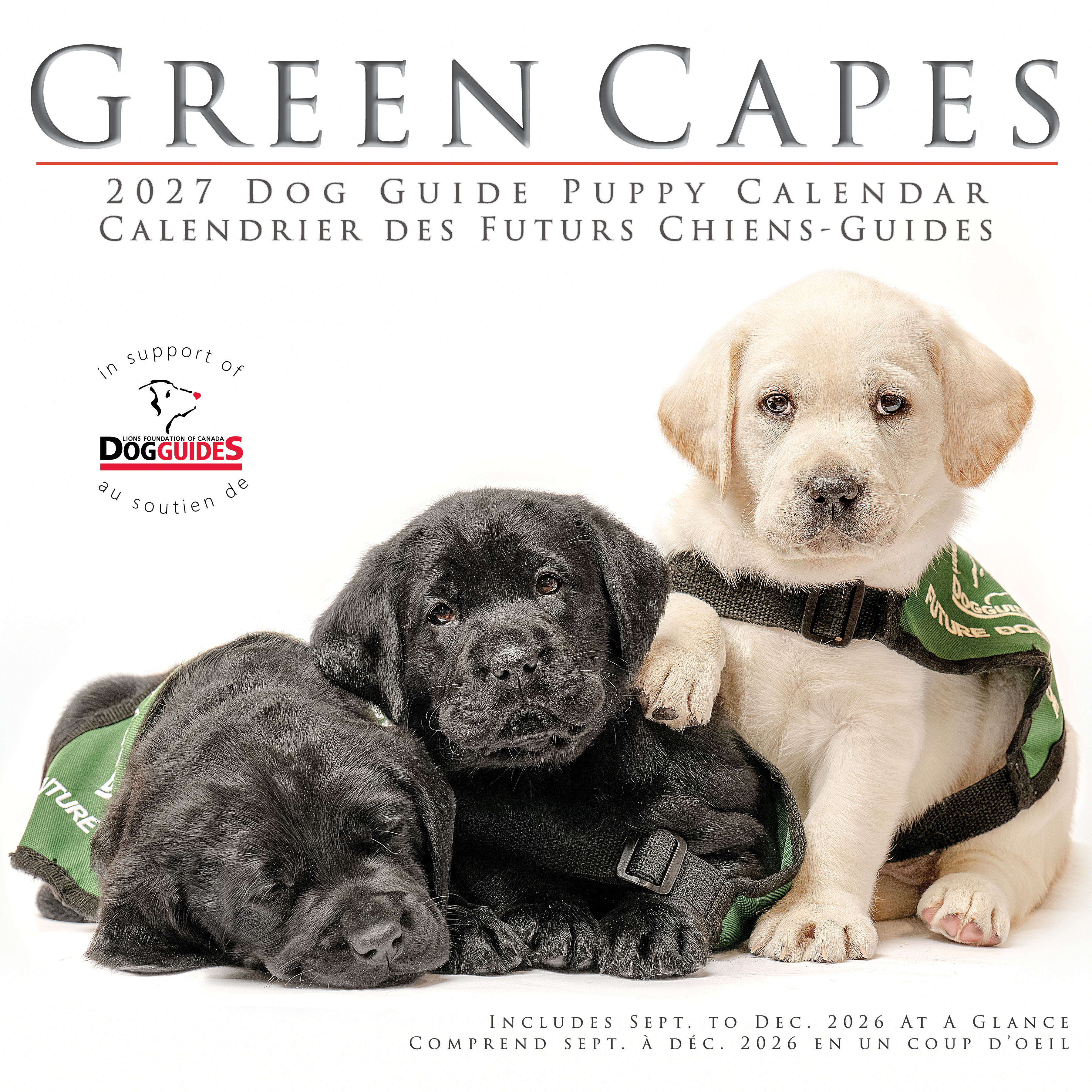 2027 GC Cal Cover2 A mock cover for the 2027 Dog Guide Puppy Calendar, titled "Green Capes", features a black Labrador puppy sleeping peacefully on a large, flat stone.in a garden filled with colorful flowers At the bottom of the image, a grey bar contains the text "actual cover coming soon (shhh don't wake the baby)"