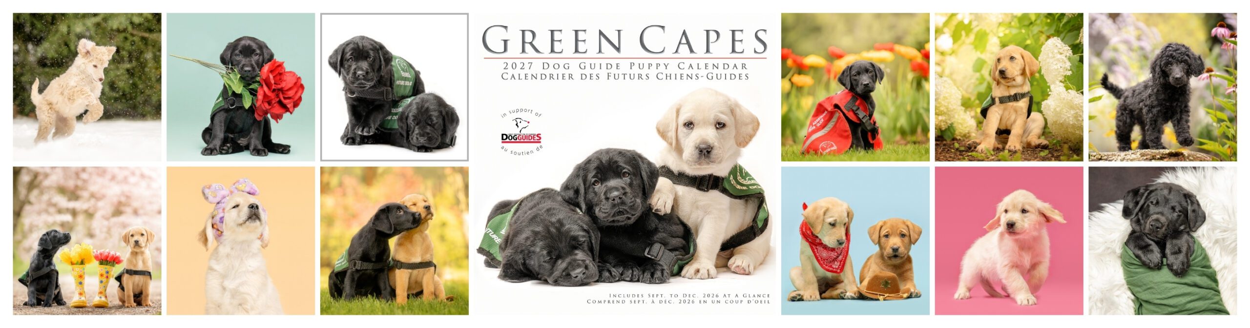 2027 Calendar cover plus month images in a collage